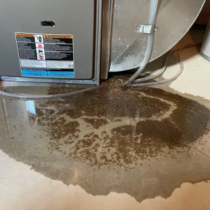 Appliance Leak Cleanup in Avon Center, OH